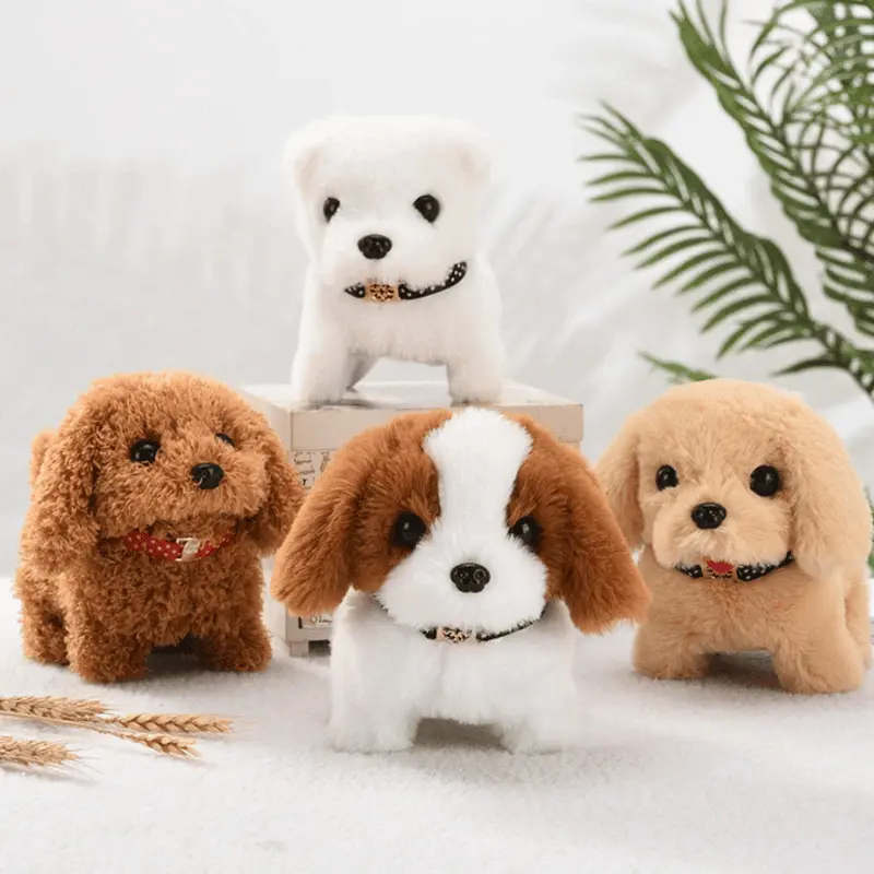 Gift Idea