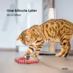 Smart Sensing Snake Electron Interactive Cat Toys - Image 5
