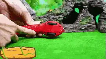 Cat playing with toy