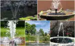 Solar-Powered Bird Fountain Kit - Image 3