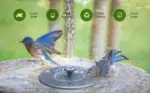 Innovative 2025 Solar Bird Bath Fountain Kit - Image 7