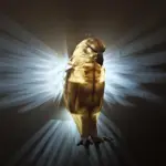 Modern Luminous Lamp_Owl Eagle Projector Lamp