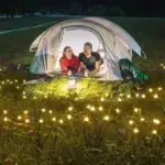 IP65 Waterproof Solar Powered Firefly Light 2025 - Image 4