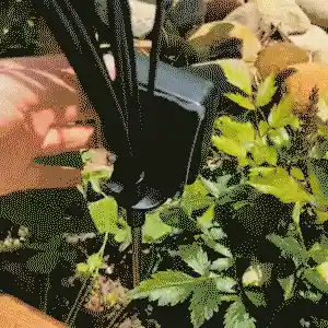 Solar Firefly Light Animation