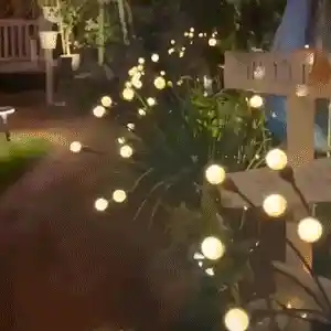 Firefly Light in Action