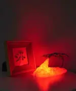 Dragon Fire Breathing Lamp - Image 6