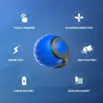 Snappy Tail – Reach Higher, Faster!