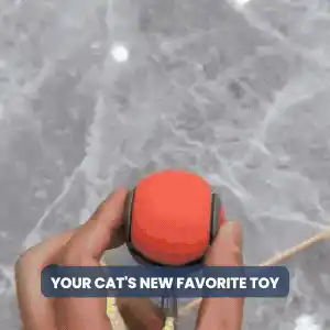 Animated Snappy Tail toy in use