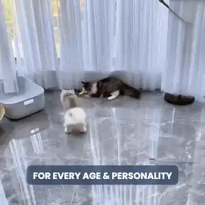 Snappy Tail's multi-mode functionality