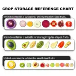 Fruit And Vegetable Storage Box